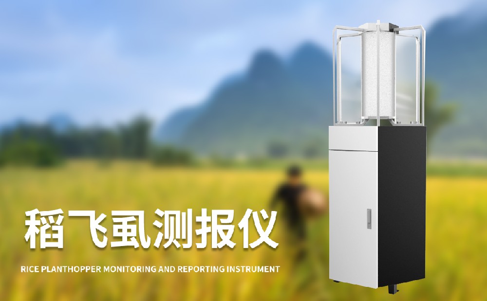 稻飛虱在線測報儀