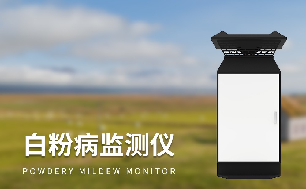 白粉病監測儀為小麥白粉病病害治理提供助力
