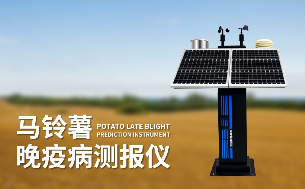 馬鈴薯晚疫病測報儀提升病害治理能力